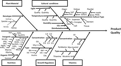 Modeling and Optimizing Culture Medium Mineral Composition for in vitro Propagation of Actinidia arguta